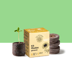 Kit Mudas | Girassol